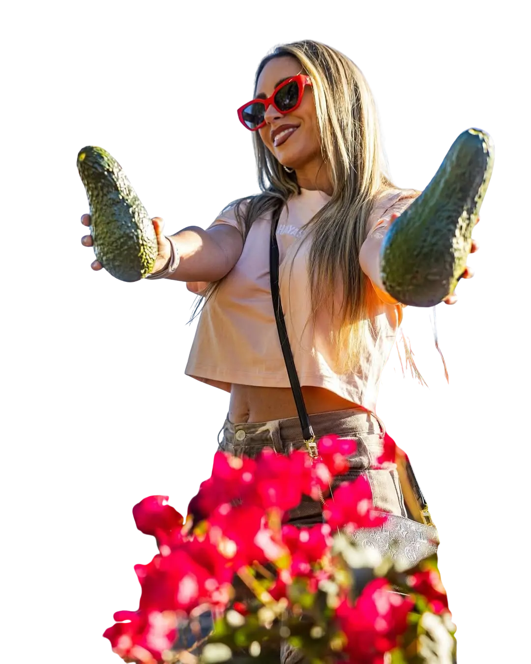 Jackson Ranch avocados